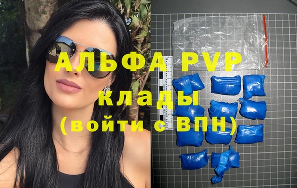 гашик Белокуриха