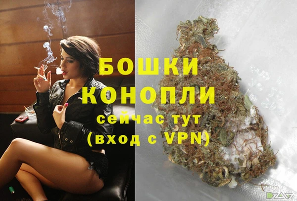 гашик Белокуриха