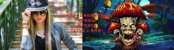 гашик Белокуриха