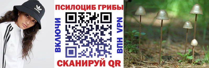 Псилоцибиновые грибы мухоморы Омутнинск